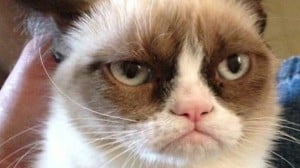 GrumpyCat