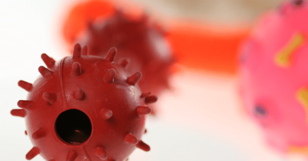 Votre animal a-t-il besoin de motivation pour se faire nettoyer les dents? 2 gsh