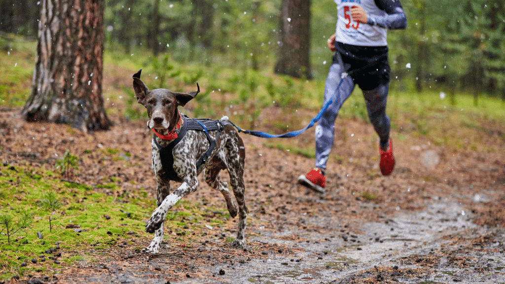 5 activités de printemps à découvrir cette année! 2 Sans titre 24
