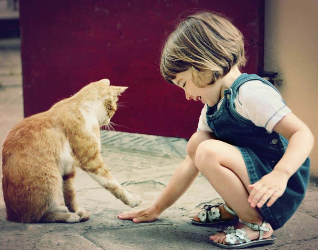 COMMENT DIRE À VOTRE CHAT QUE VOUS L’AIMEZ? 1 Article 1