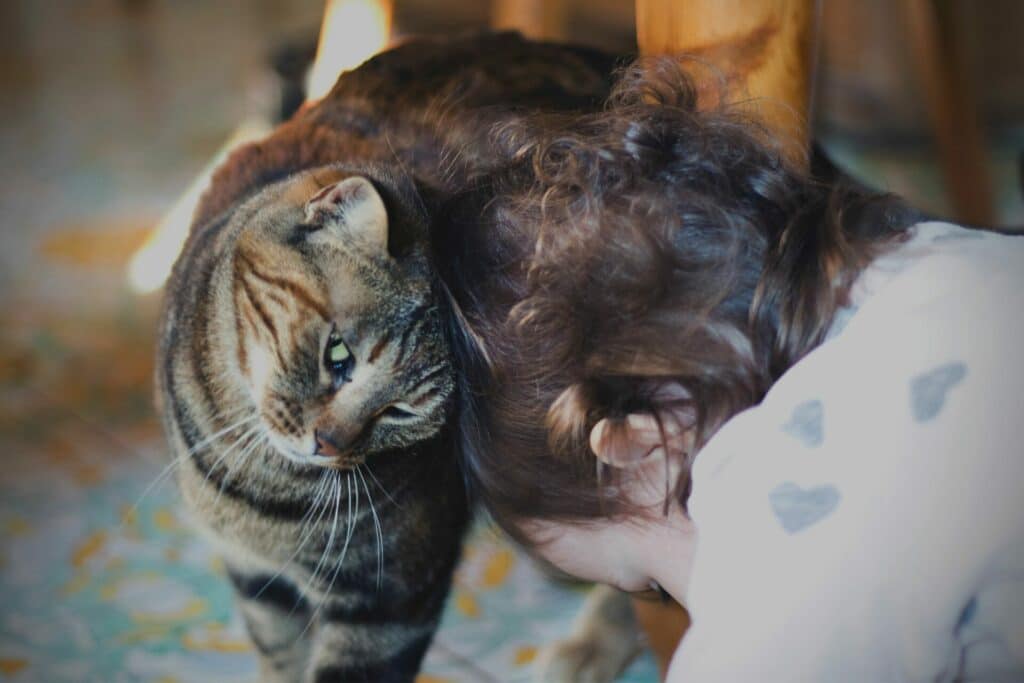 COMMENT DIRE À VOTRE CHAT QUE VOUS L’AIMEZ? 4 Article 4