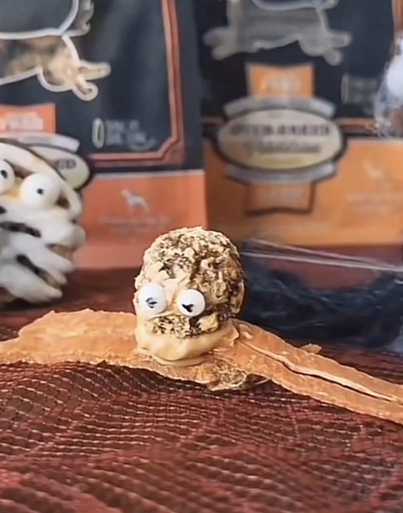 CRÉATIONS CULINAIRES D’HALLOWEEN 2 Araignee Oven Baked Tradition