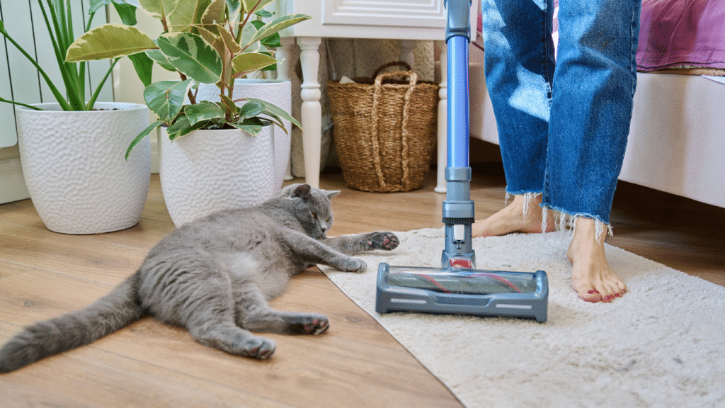QUEL EST LE MEILLEUR ASPIRATEUR POUR LES POILS D’ANIMAUX? 2 IMAGE FOFRMAT BLOG 4